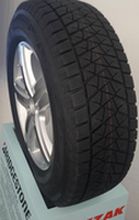 Bridgestone Blizzak DM-V2